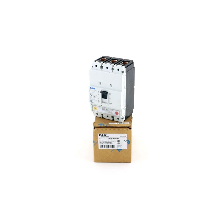 429565 (1)
