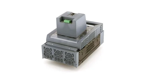 420981 (1)