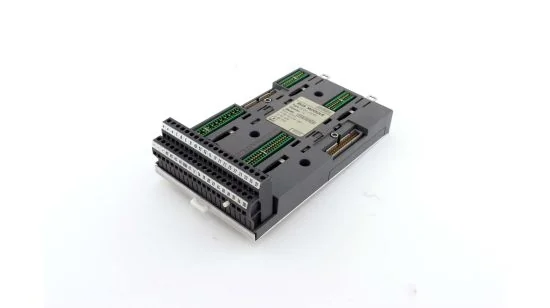 429117 (1)