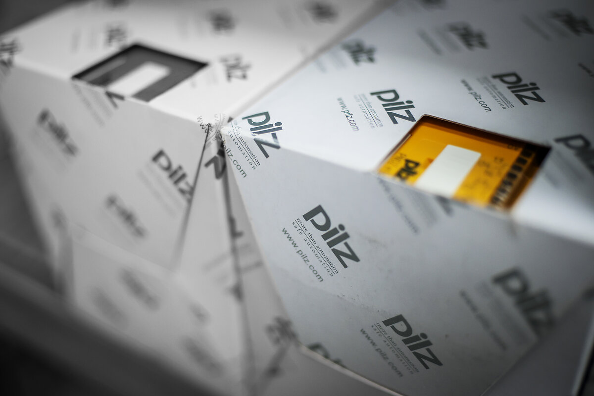 Pilz_1_